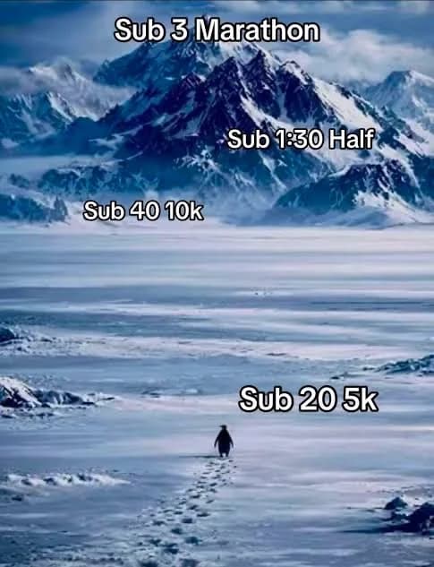 Meme of a lone penguin walking across an icy plain towards distant mountains, labelled from bottom to top: sub 20 5K, sub 40 10K, sub 1:30 half, sub 3 marathon